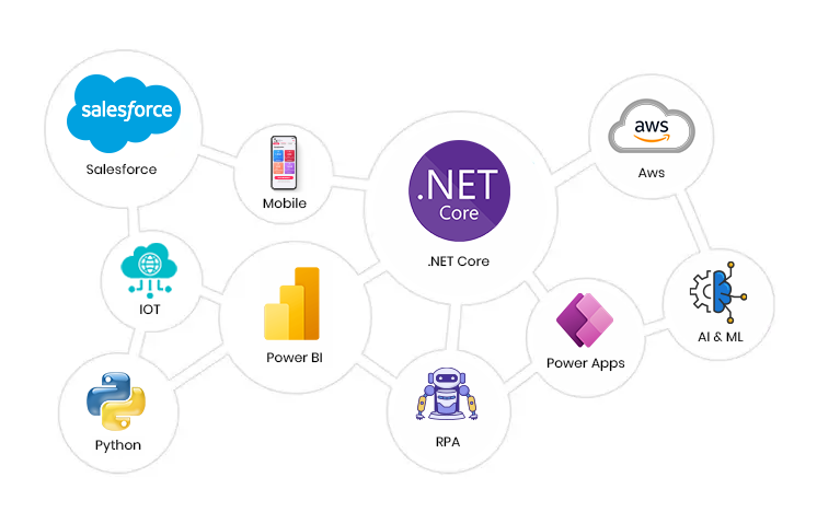 Web Development in Jaipur